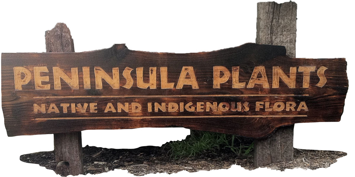 Peninsula Plants-sign-front gate